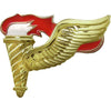 Army Pathfinder Badges Badges 1280 PATHF-MRF