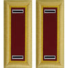 Army Male Shoulder Boards - Transportation Rank 11217DBR